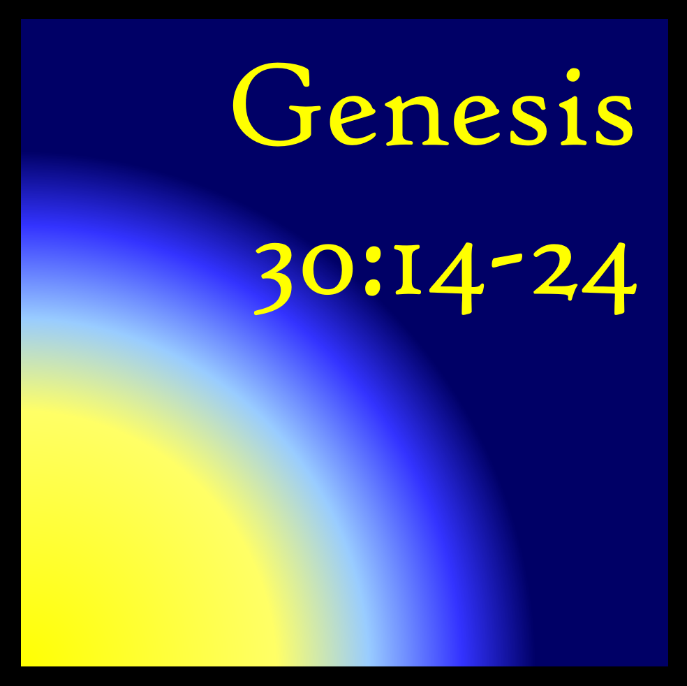 Solving Problems Through Human Logic: Genesis 30:14-24