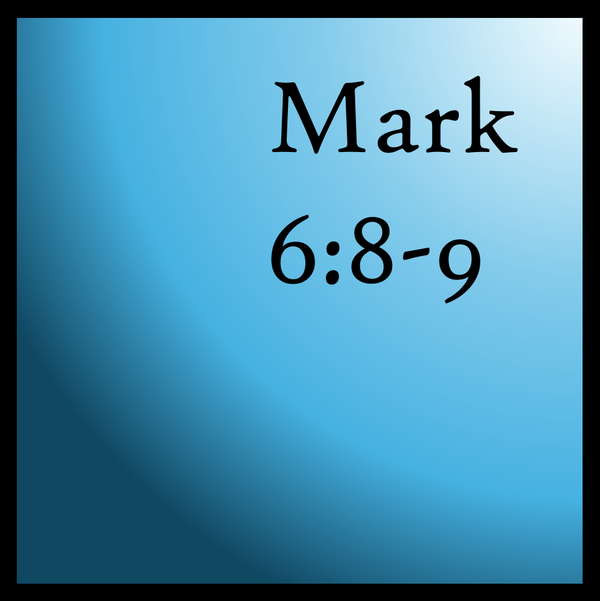 What We Need: Mark 6:8-9